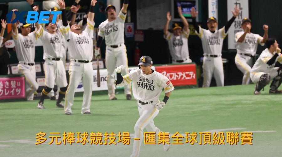 多元棒球競技場 – 匯集全球頂級聯賽